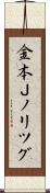 金本Ｊノリツグ Scroll