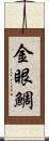 金眼鯛 Scroll