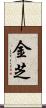 金芝 Scroll