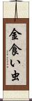 金食い虫 Scroll