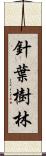 針葉樹林 Scroll