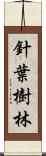 針葉樹林 Scroll