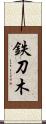 鉄刀木 Scroll