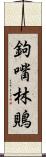 鉤嘴林鵙 Scroll