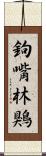 鉤嘴林鶪 Scroll