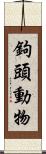 鉤頭動物 Scroll