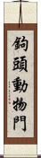 鉤頭動物門 Scroll