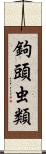 鉤頭虫類 Scroll