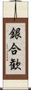 銀合歓 Scroll