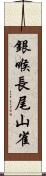 銀喉長尾山雀 Scroll