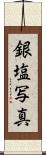 銀塩写真 Scroll