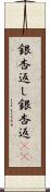 銀杏返し Scroll