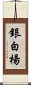 銀白楊 Scroll