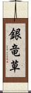 銀竜草 Scroll
