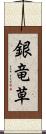 銀竜草 Scroll