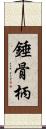 錘骨柄 Scroll