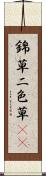 錦草 Scroll