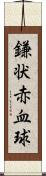 鎌状赤血球 Scroll