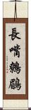 長嘴鷯鶥 Scroll