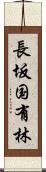 長坂国有林 Scroll