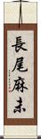 長尾麻未 Scroll
