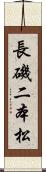 長磯二本松 Scroll