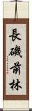 長磯前林 Scroll