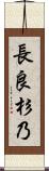 長良杉乃 Scroll