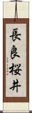 長良桜井 Scroll