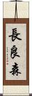 長良森 Scroll