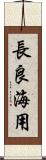 長良海用 Scroll
