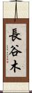 長谷木 Scroll