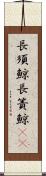 長須鯨 Scroll