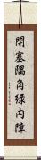 閉塞隅角緑内障 Scroll