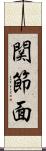 関節面 Scroll