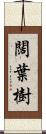 闊葉樹 Scroll