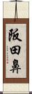 阪田鼻 Scroll