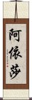 阿依莎 Scroll