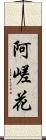 阿嵯花 Scroll