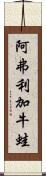 阿弗利加牛蛙 Scroll