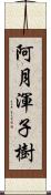 阿月渾子樹 Scroll