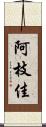 阿枝佳 Scroll