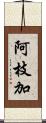 阿枝加 Scroll