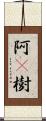 阿棃樹 Scroll