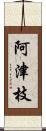 阿津枝 Scroll