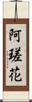 阿瑳花 Scroll