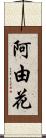 阿由花 Scroll