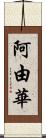 阿由華 Scroll