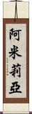 Amilia Scroll