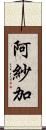 阿紗加 Scroll